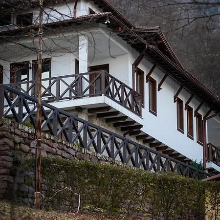 даяница Kopilovtsi