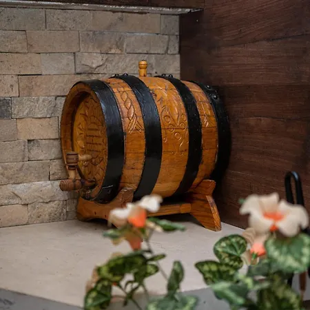 даяница Nyaraló