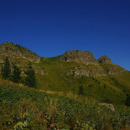 даяница Nyaraló Kopilovci