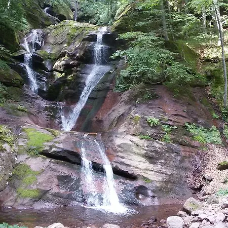 Hébergement de vacances даяница