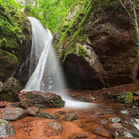 Nyaraló даяница *