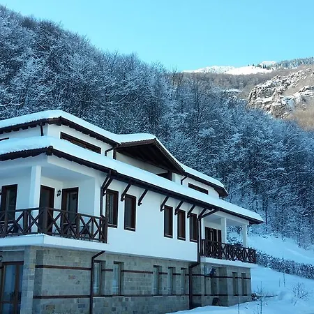 даяница Kopilovtsi