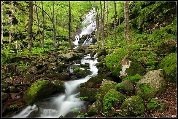 даяница Vakantiehuis