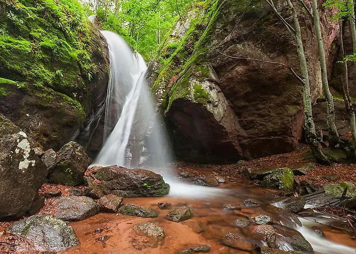 Vakantiehuis даяница *