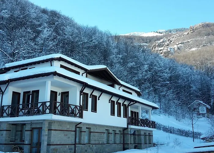 даяница Kopilovtsi